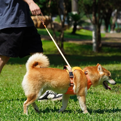 Hunde-Geschirr - "EasyWalk"